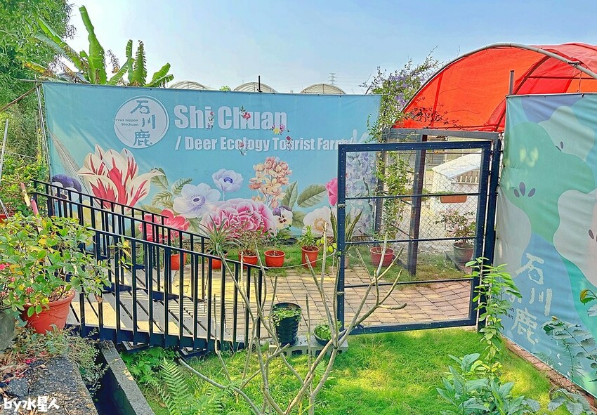 石川鹿生態觀光農場