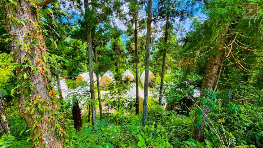 【新竹住宿】隱身在雲霧中白蘭部落豪華露營，一泊二食加迎賓小點，晚餐帶入民住民元素和食材，還有泰雅族獵徑尋根體驗~蟬說：霧繞 - 南人幫