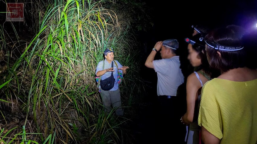 【新竹住宿】隱身在雲霧中白蘭部落豪華露營，一泊二食加迎賓小點，晚餐帶入民住民元素和食材，還有泰雅族獵徑尋根體驗~蟬說：霧繞 - 南人幫