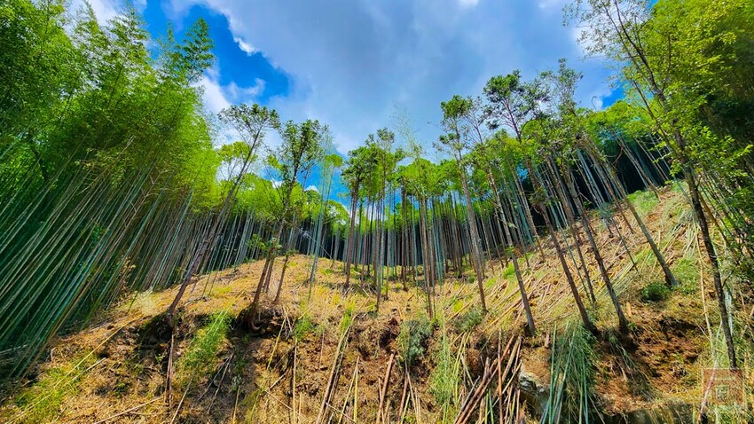 【新竹住宿】隱身在雲霧中白蘭部落豪華露營，一泊二食加迎賓小點，晚餐帶入民住民元素和食材，還有泰雅族獵徑尋根體驗~蟬說：霧繞 - 南人幫