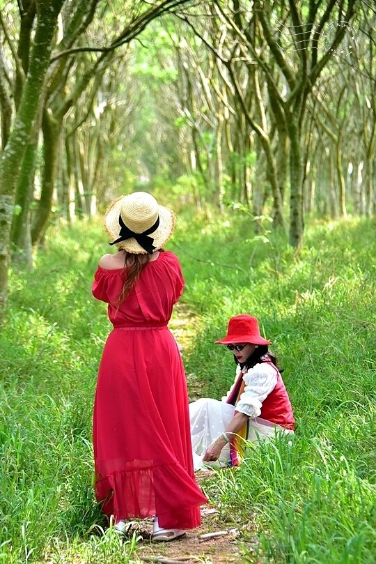 台中后里【無患子森林龍貓隧道】：龍貓將出沒般的絕佳神秘打卡背景！