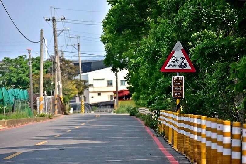 台中后里【無患子森林龍貓隧道】：龍貓將出沒般的絕佳神秘打卡背景！