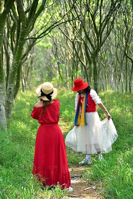 台中后里【無患子森林龍貓隧道】：龍貓將出沒般的絕佳神秘打卡背景！