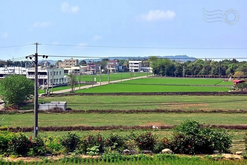 台中后里【無患子森林龍貓隧道】：龍貓將出沒般的絕佳神秘打卡背景！