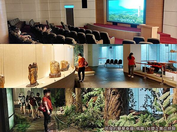 台塑企業文物館06-B1簡報室奇木森林.jpg