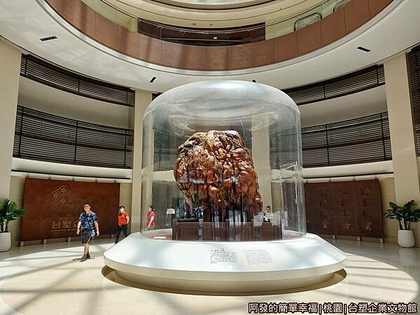 台塑企業文物館03-奇木精隨-南貝殼杉癭木.jpg