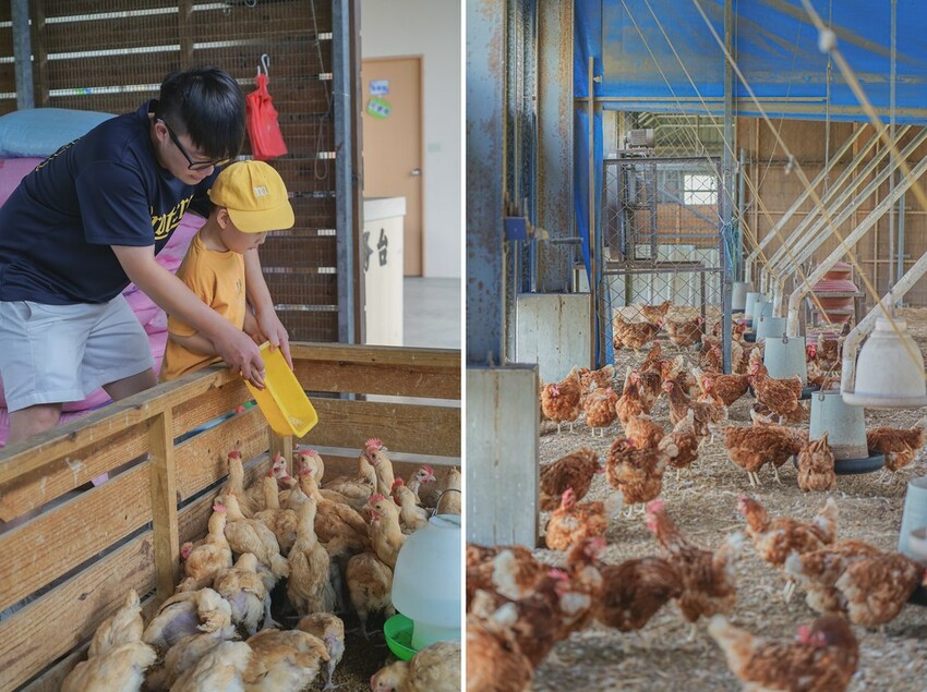 DSC02798-side DSC02798-side