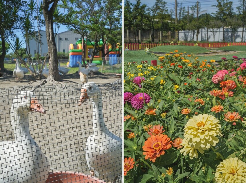 DSC02425-side DSC02425-side