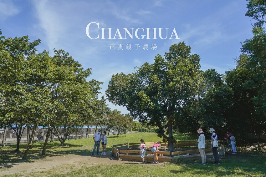 DSC02420修 DSC02420修