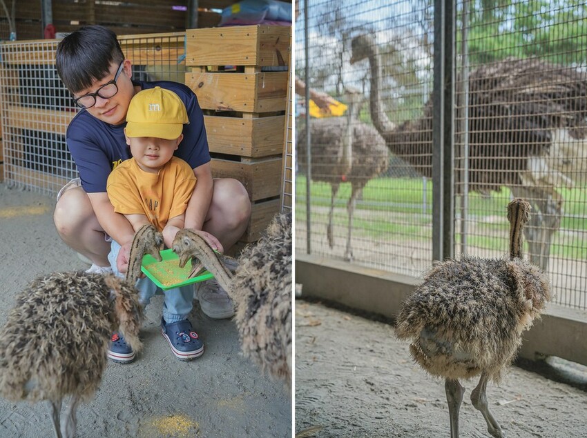 DSC02817-side DSC02817-side