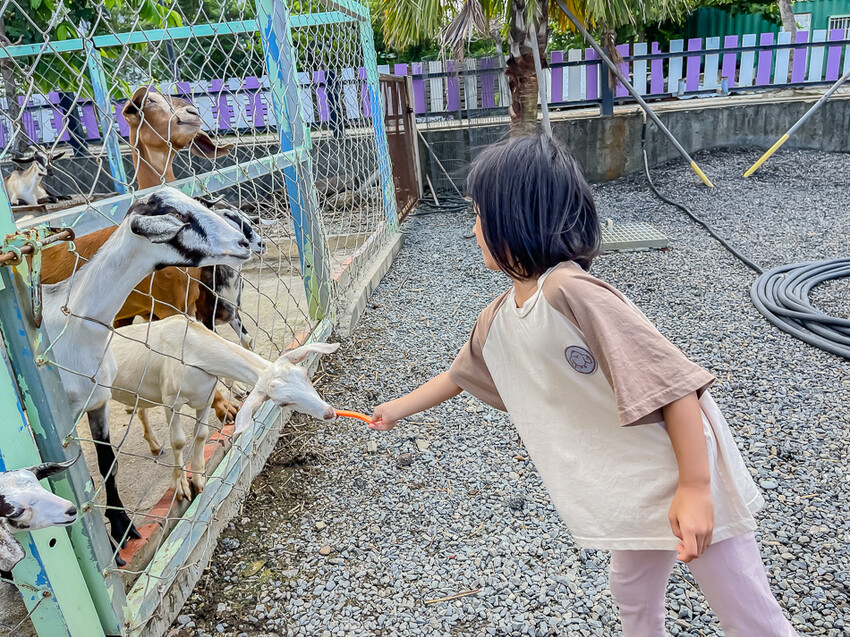 恆春墾丁旅遊 – 墾草趣民宿 / 墾草趣親子園區