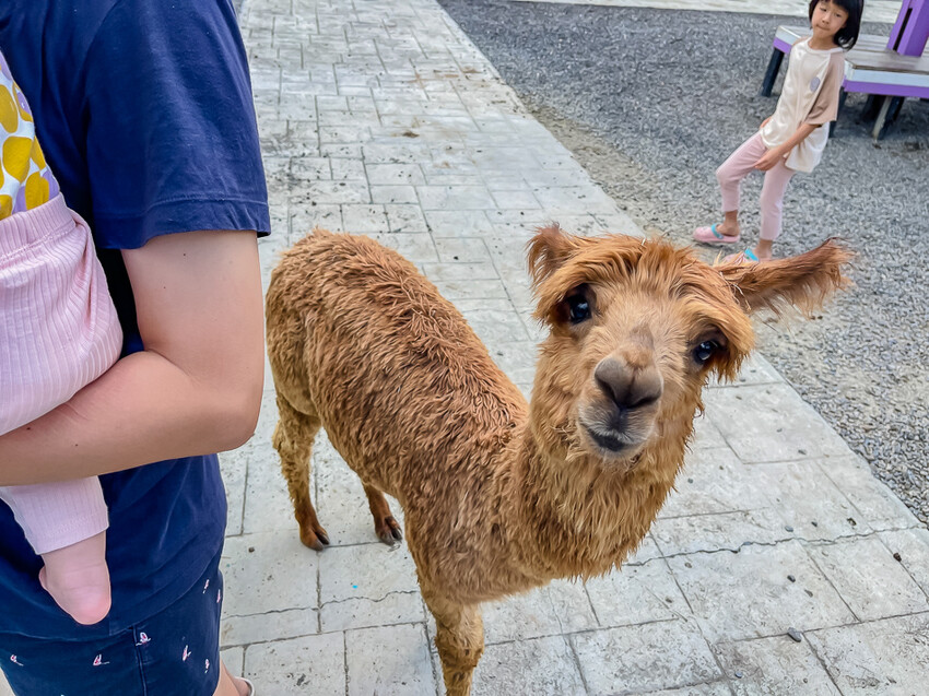 恆春墾丁旅遊 – 墾草趣民宿 / 墾草趣親子園區