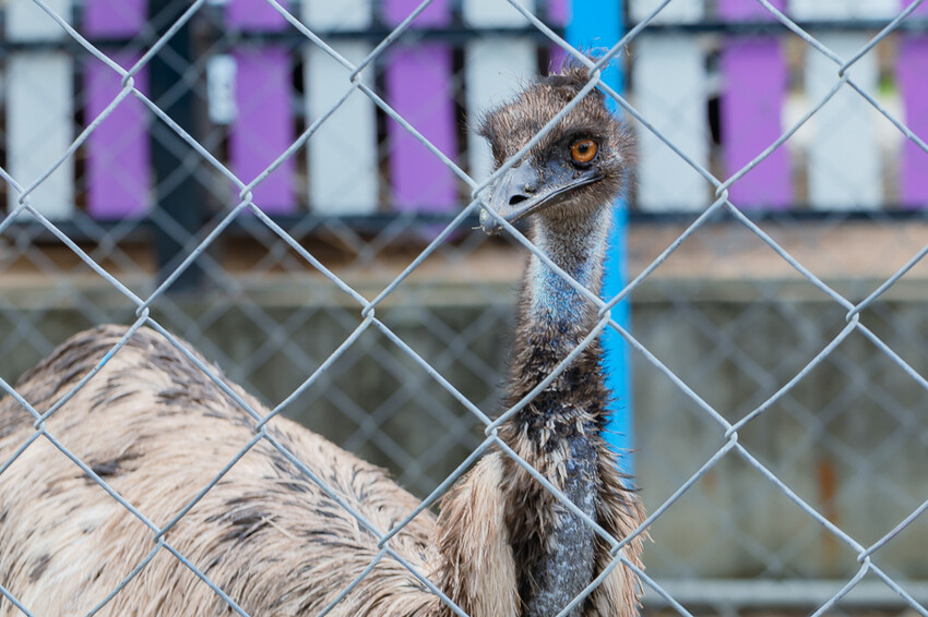 恆春墾丁旅遊 – 墾草趣民宿 / 墾草趣親子園區
