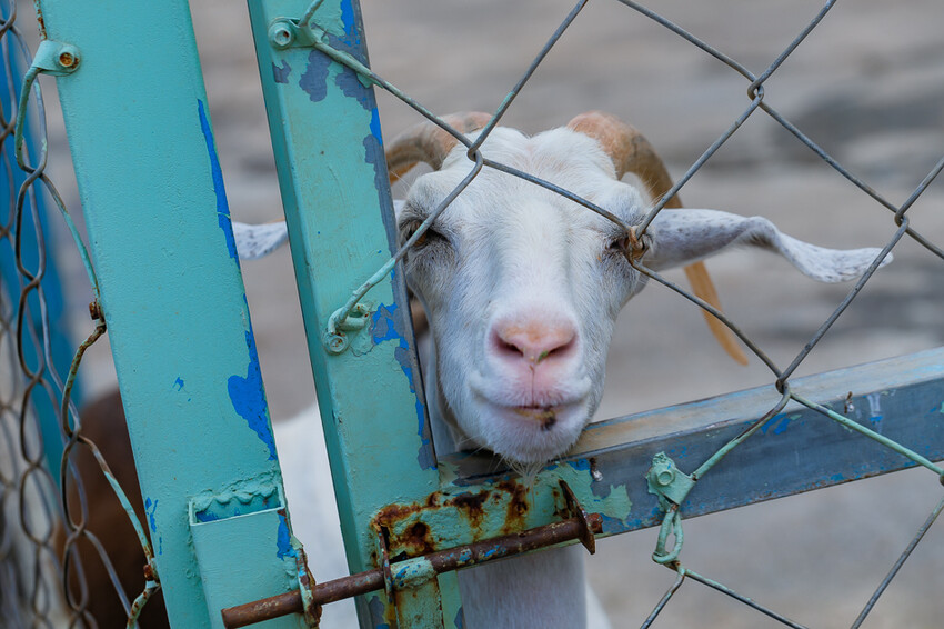 恆春墾丁旅遊 – 墾草趣民宿 / 墾草趣親子園區