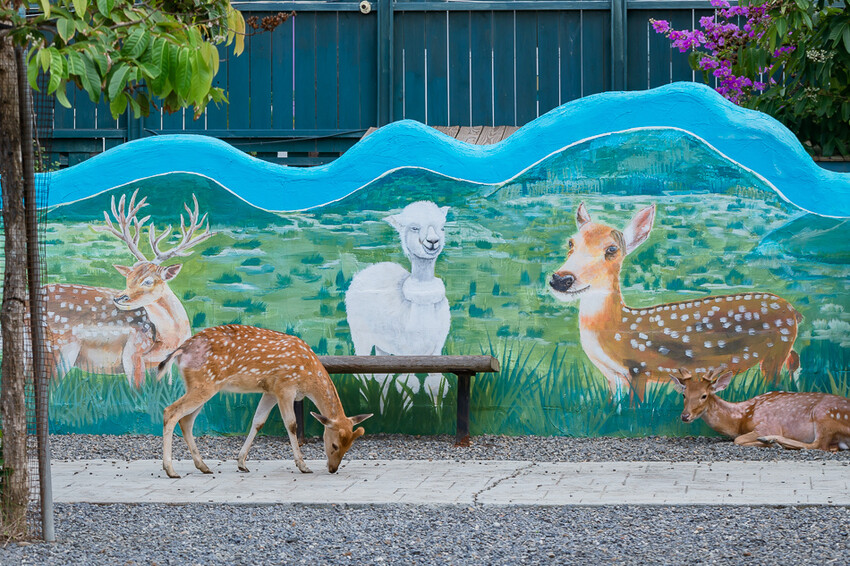 恆春墾丁旅遊 – 墾草趣民宿 / 墾草趣親子園區
