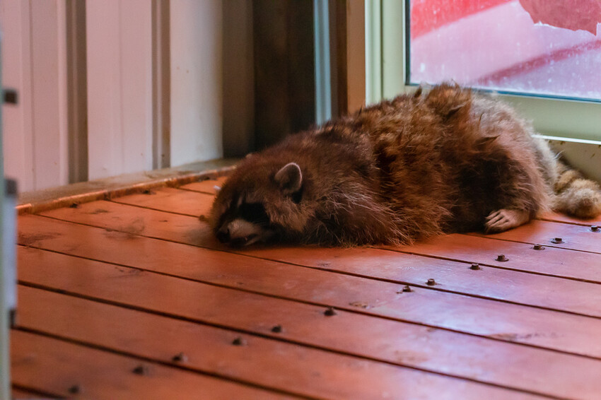 恆春墾丁旅遊 – 墾草趣民宿 / 墾草趣親子園區