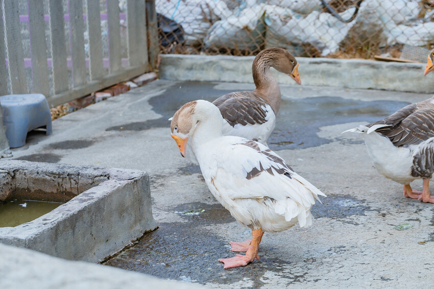 恆春墾丁旅遊 – 墾草趣民宿 / 墾草趣親子園區