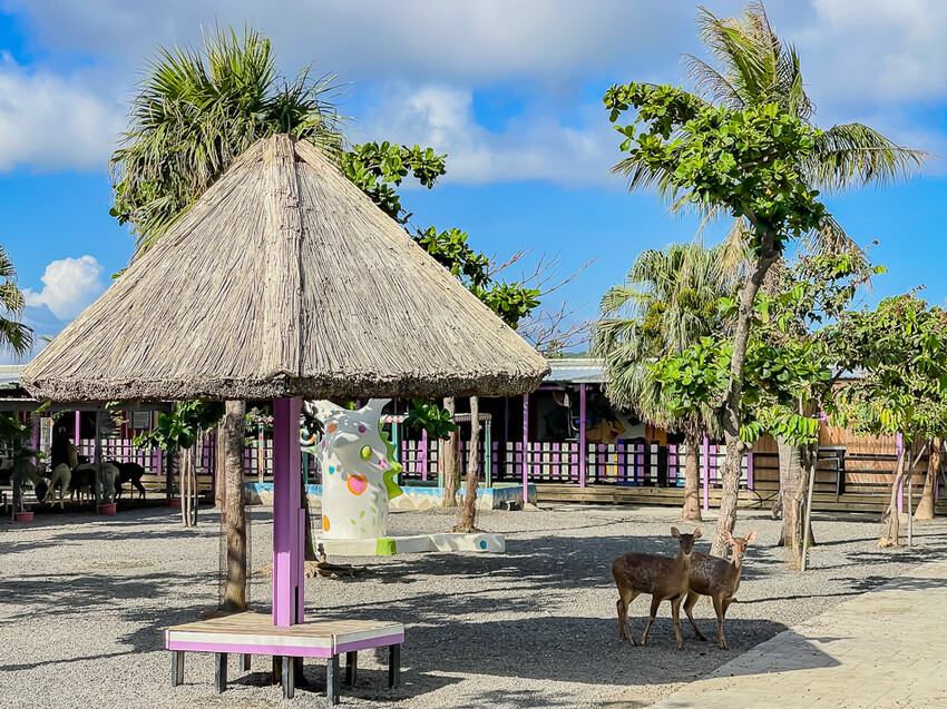 恆春墾丁旅遊 – 墾草趣民宿 / 墾草趣親子園區