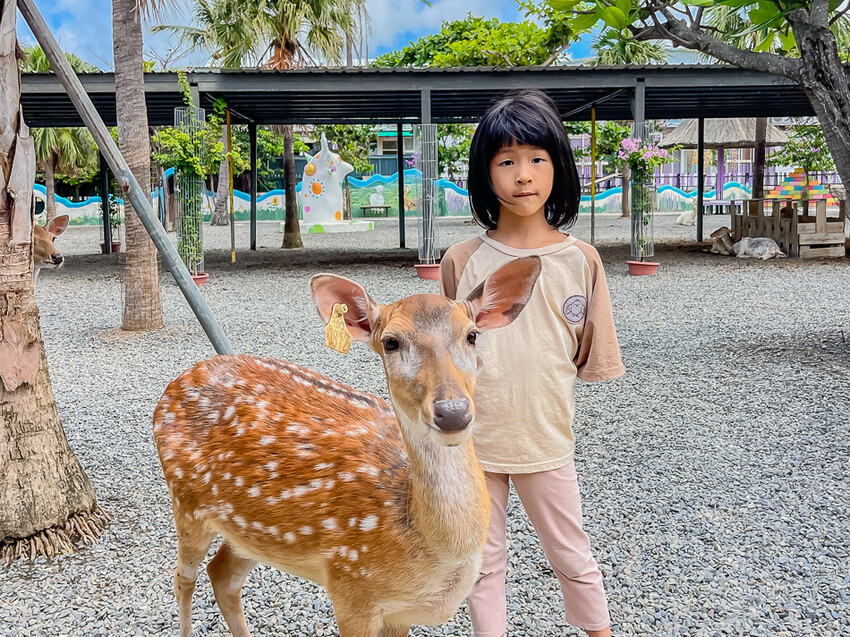 恆春墾丁旅遊 – 墾草趣民宿 / 墾草趣親子園區