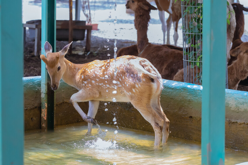 恆春墾丁旅遊 – 墾草趣民宿 / 墾草趣親子園區