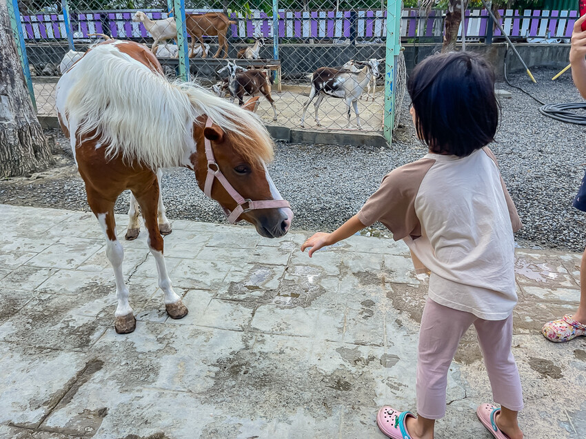恆春墾丁旅遊 – 墾草趣民宿 / 墾草趣親子園區