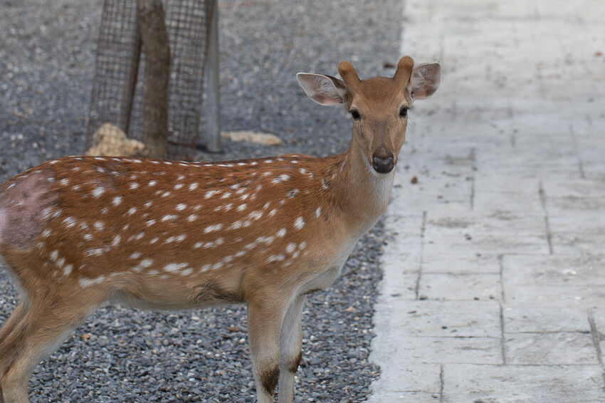 恆春墾丁旅遊 – 墾草趣民宿 / 墾草趣親子園區