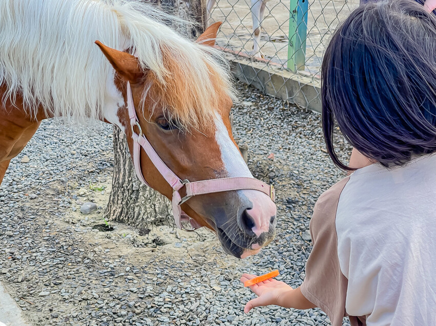 恆春墾丁旅遊 – 墾草趣民宿 / 墾草趣親子園區