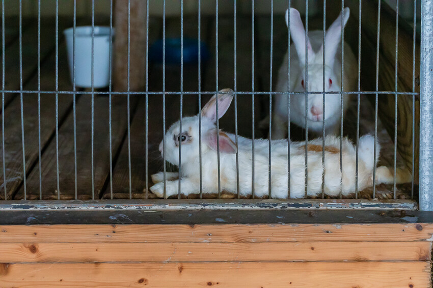 恆春墾丁旅遊 – 墾草趣民宿 / 墾草趣親子園區
