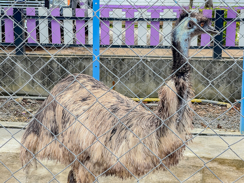 恆春墾丁旅遊 – 墾草趣民宿 / 墾草趣親子園區