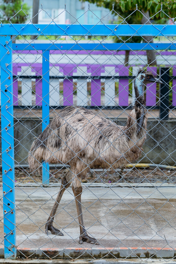 恆春墾丁旅遊 – 墾草趣民宿 / 墾草趣親子園區