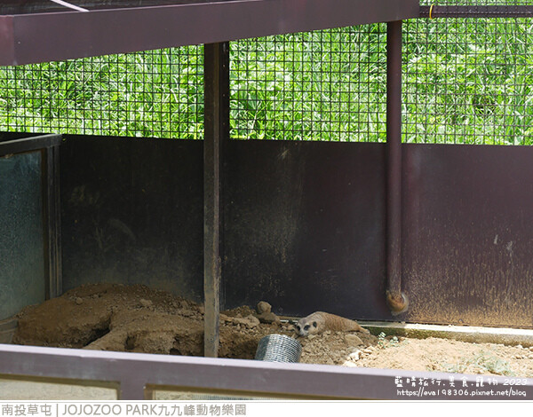 JOJOZOO PARK九九峰動物樂園-30.jpg