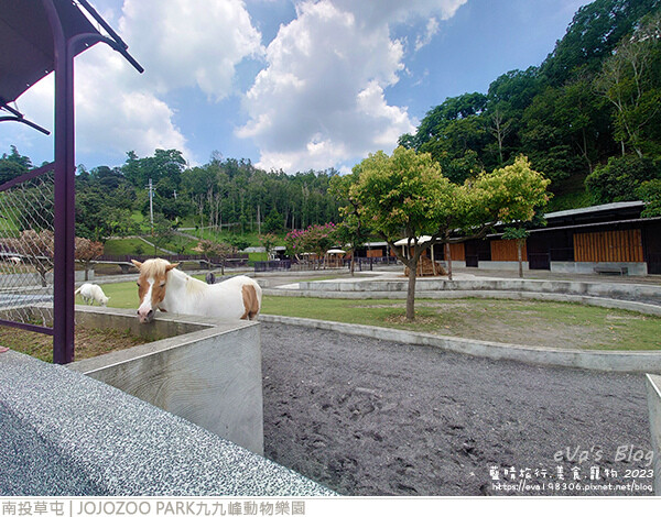 JOJOZOO PARK九九峰動物樂園-26.jpg