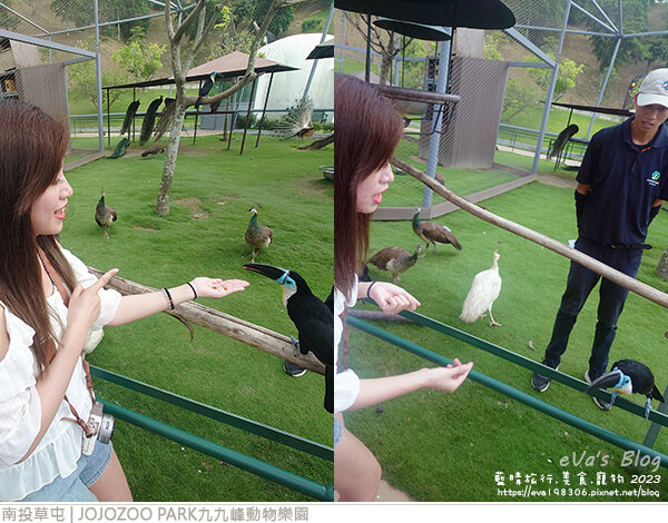 JOJOZOO PARK九九峰動物樂園-79.jpg