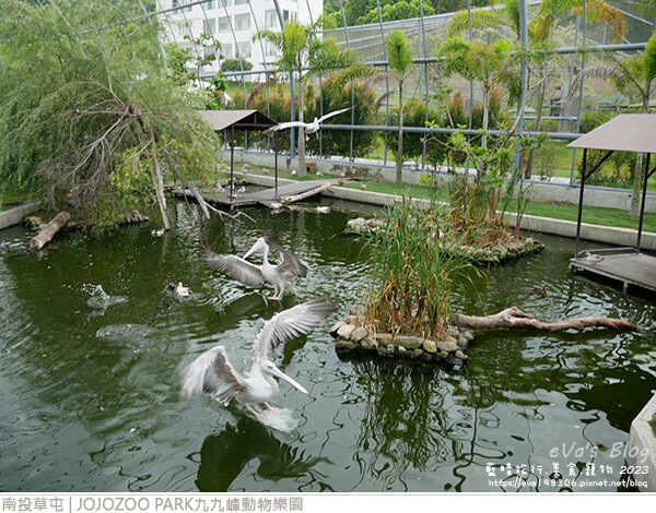 JOJOZOO PARK九九峰動物樂園-65.jpg