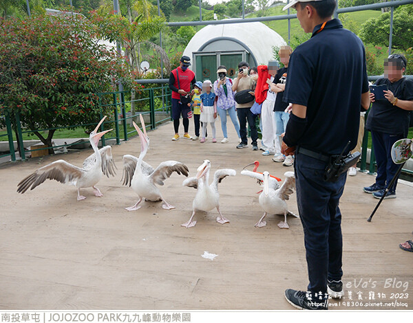 JOJOZOO PARK九九峰動物樂園-69.jpg