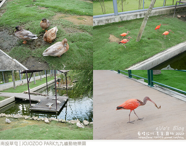 JOJOZOO PARK九九峰動物樂園-55.jpg