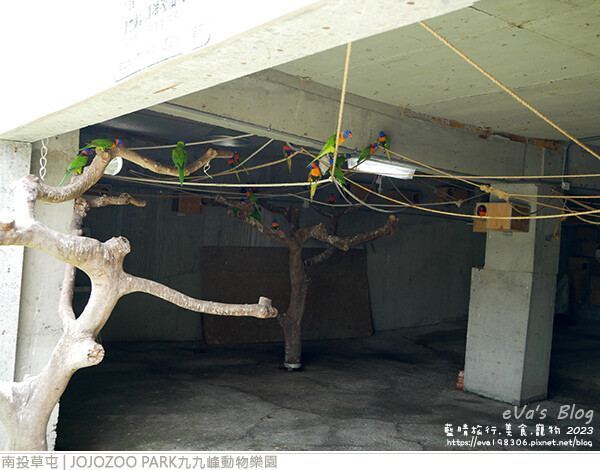 JOJOZOO PARK九九峰動物樂園-19.jpg