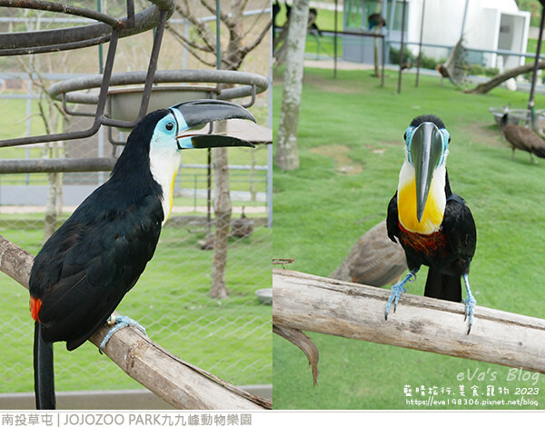 JOJOZOO PARK九九峰動物樂園-78.jpg
