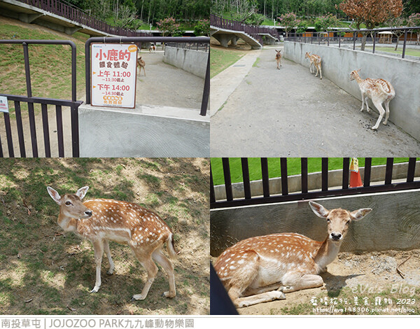 JOJOZOO PARK九九峰動物樂園-28.jpg