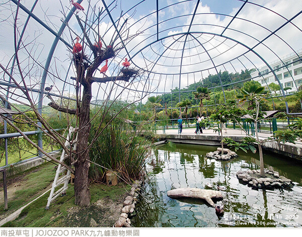 JOJOZOO PARK九九峰動物樂園-52.jpg
