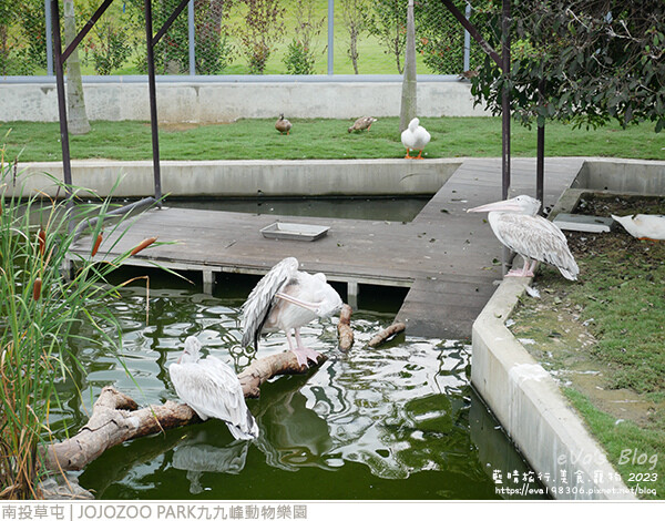 JOJOZOO PARK九九峰動物樂園-56.jpg