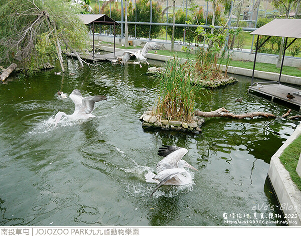 JOJOZOO PARK九九峰動物樂園-66.jpg