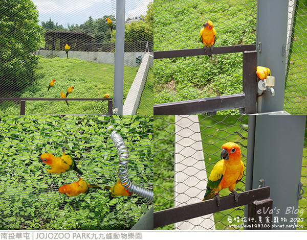 JOJOZOO PARK九九峰動物樂園-24.jpg