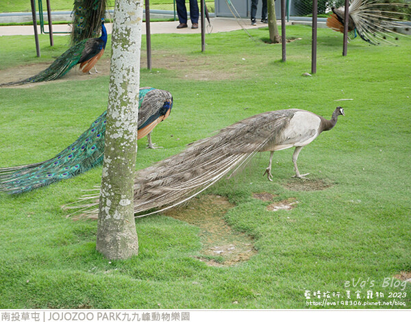 JOJOZOO PARK九九峰動物樂園-74.jpg