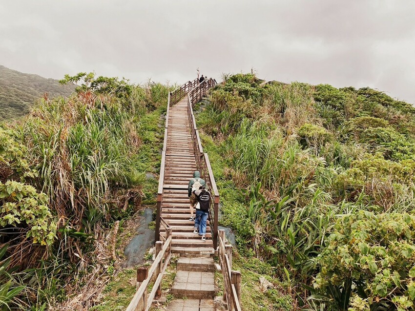 大石鼻山｜龜庵山親民步道，輕鬆攻頂享受太平洋絕美視野！