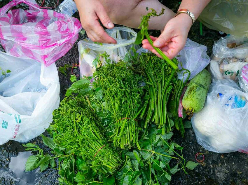 2023阿美族豐年祭！吉娜魯岸我回來啦～一同歡唱一起舞動吧！歡迎跟我一起來參加鳳信部落的歲時祭儀！（內有飲酒議題,飲酒過量有害健康喔） @圍事小哥的幸福相框