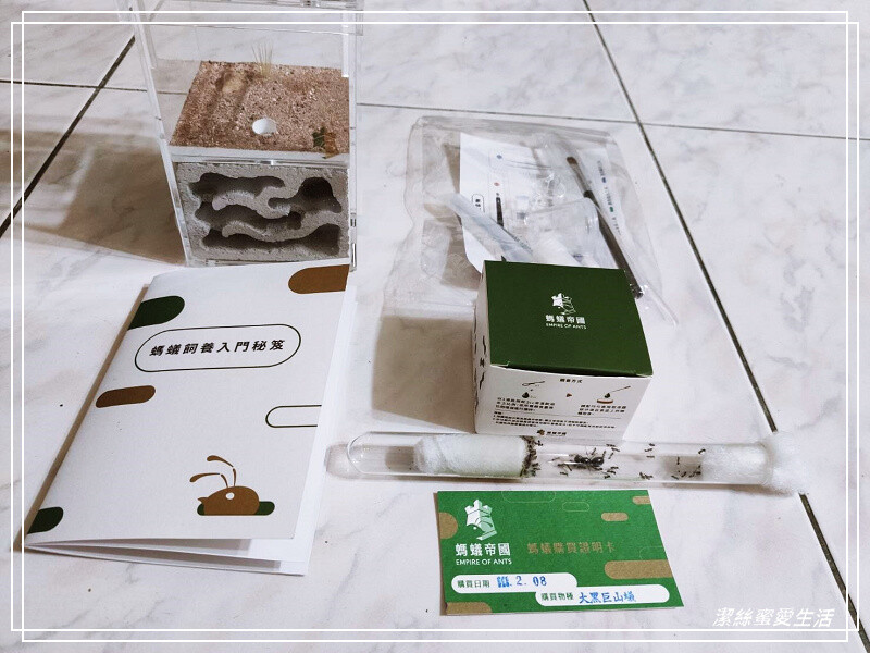 螞蟻帝國-桃園龜山/竟然可以養螞蟻!探索多采多姿的蟻國世界