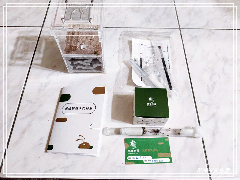 螞蟻帝國-桃園龜山/竟然可以養螞蟻!探索多采多姿的蟻國世界