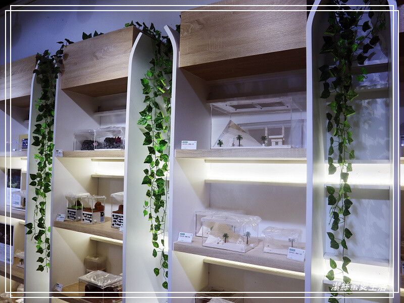 螞蟻帝國-桃園龜山/竟然可以養螞蟻!探索多采多姿的蟻國世界