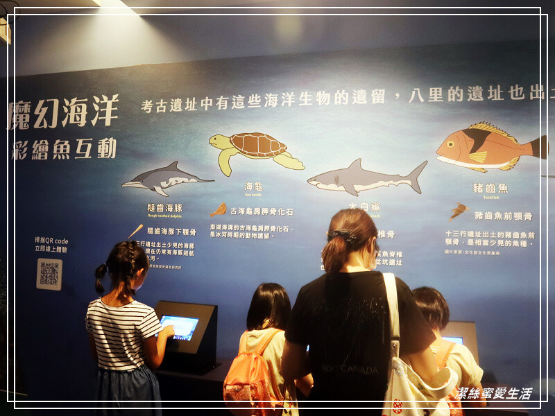 十三行博物館-新北八里/考古文化x互動體驗~室內親子景點